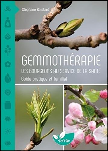 Gemmothérapie : les bourgeons au service de la santé